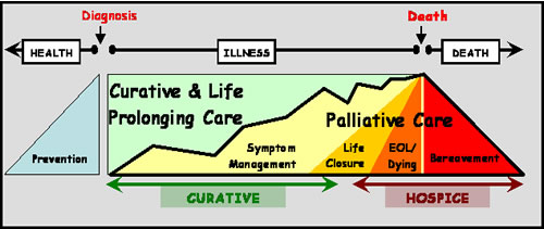 Palliative Care Family Meeting Template